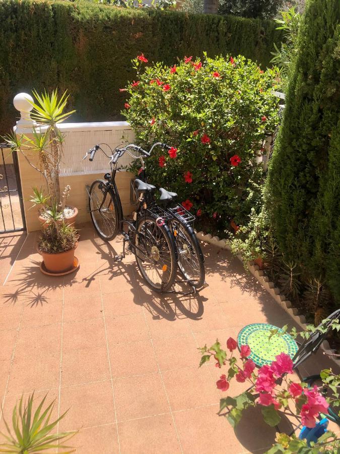 Villas Don Quijote Punta Prima  Eksteriør billede